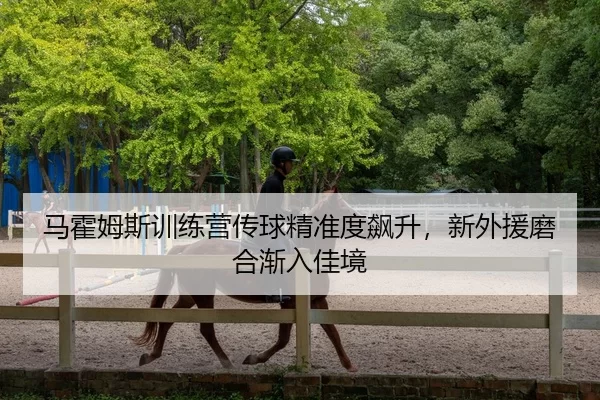 马霍姆斯训练营传球精准度飙升，新外援磨合渐入佳境